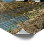 Blauwe haron bij passieafdrukken poster (Hoek)