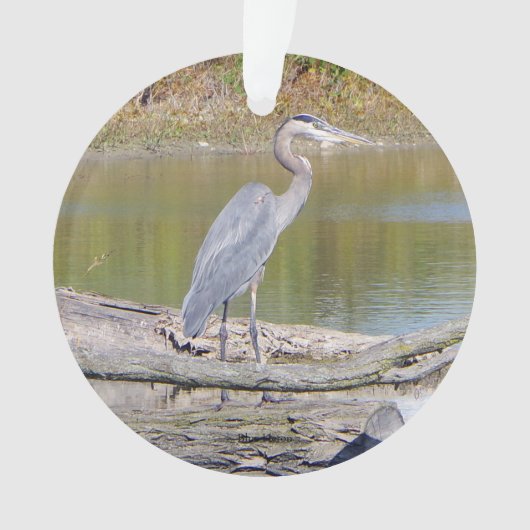 Blauwe haron, dubbelzijdig plastic siermiddel ornament (voorkant)