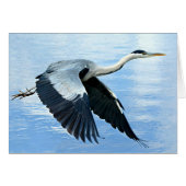 Blauwe haron in vlucht boven water (Voorkant Horizontaal)