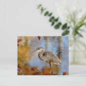 Blauwe haron, omhuld met herfst briefkaart (Staand voorkant)
