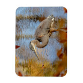 Blauwe haron, omhuld met herfst magneet (Verticaal)