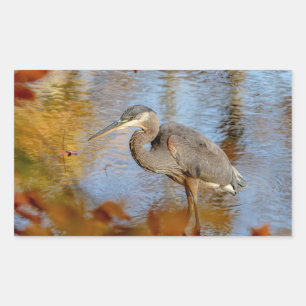 Blauwe haron, omhuld met herfst rechthoekige sticker