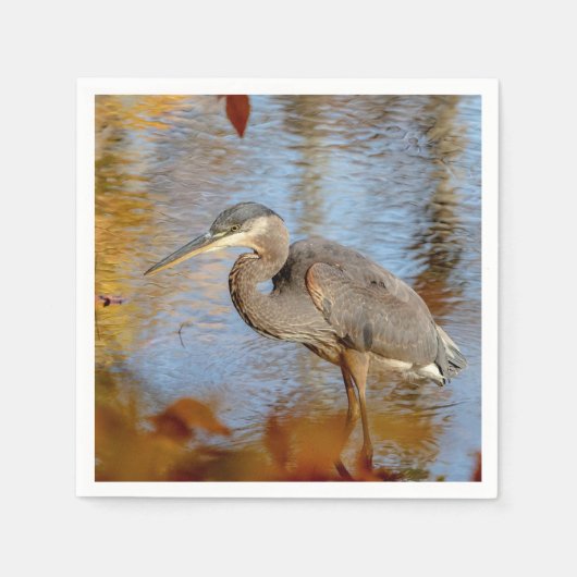 Blauwe haron, omhuld met herfst servet (Voorkant)