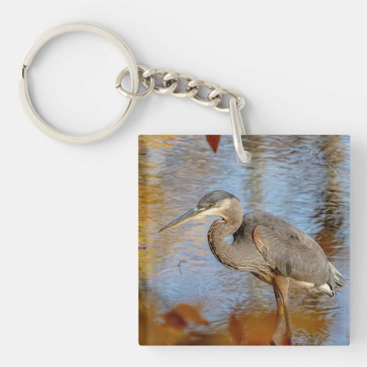 Blauwe haron, omhuld met herfst sleutelhanger (Voorkant)