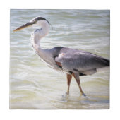 Blauwe haron op overloper tegeltje (Voorkant)