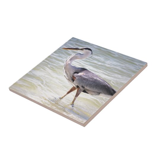 Blauwe haron op overloper tegeltje (Zijkant)