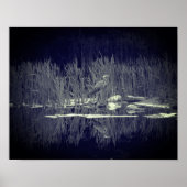 Blauwe haron reflecteert vogelzwart en wit poster (Voorkant)