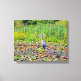 Blauwe haron, waterlelies,  wilde vogel, natuur canvas afdruk