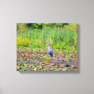 Blauwe haron, waterlelies, wilde vogel, natuur canvas afdruk