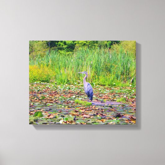 Blauwe haron, waterlelies, wilde vogel, natuur canvas afdruk (Voorkant)