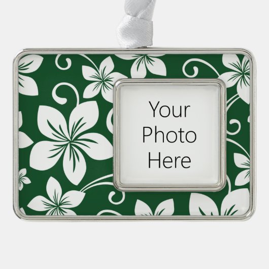 BLAUWE HAWAII (BOSGROENEN) VERZILVERD OMLIJST ORNAMENT (Voorkant)