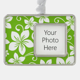 BLAUWE HAWAII (LIMOEN) VERZILVERD OMLIJST ORNAMENT