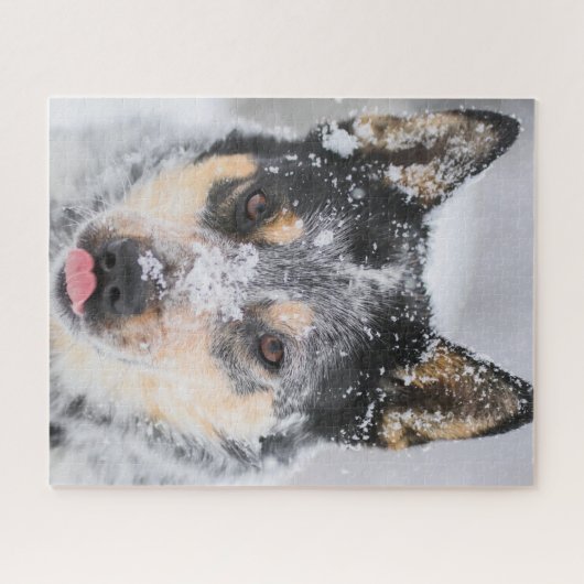 Blauwe Heeler hond in de sneeuw Legpuzzel (Horizontaal)