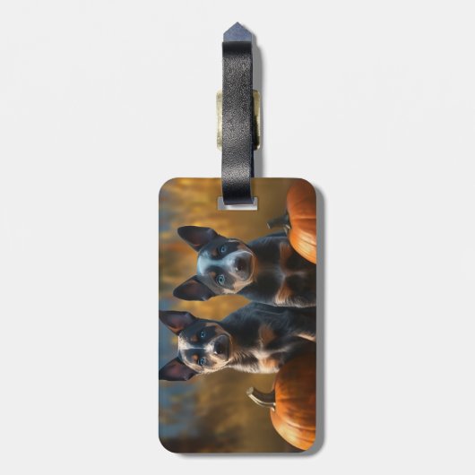 Blauwe Heeler Puppy Herfst Delight Pompoen Bagagelabel (Achterkant verticaal)