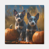 Blauwe Heeler Puppy Herfst Delight Pompoen Magneet (Voorkant)