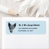 Blauwe heler / Rundhond retour adreslabel Etiket (Insitu)