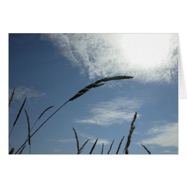 Blauwe hemel (Voorkant Horizontaal)