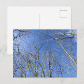 Blauwe hemel, bomen in de winter briefkaart (Voorkant / Achterkant)