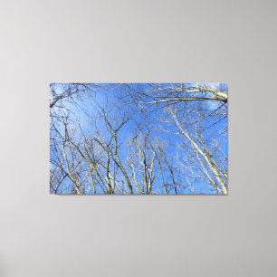 Blauwe hemel, bomen in de winter canvas afdruk
