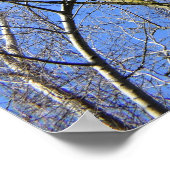 Blauwe hemel, bomen in de winter poster (Hoek)