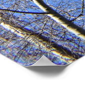 Blauwe hemel, bomen in de winter poster (Hoek)
