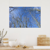 Blauwe hemel, bomen in de winter poster (Keuken)