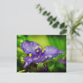 Blauwe hemel briefkaart (Staand voorkant)