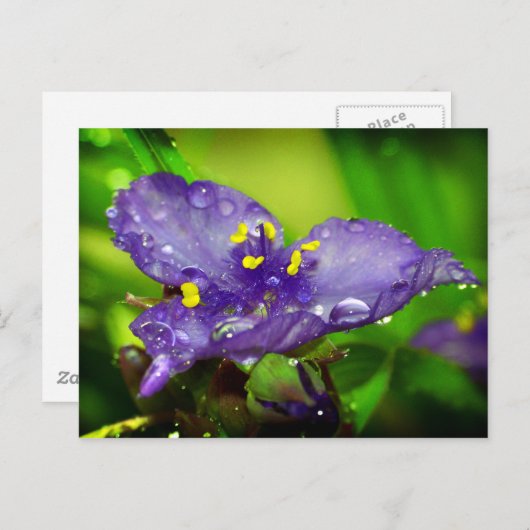 Blauwe hemel briefkaart (Voorkant / Achterkant)