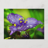 Blauwe hemel briefkaart (Voorkant)