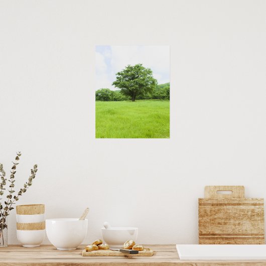 Blauwe hemel en grasveld poster (Keuken)