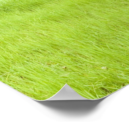 Blauwe hemel en grasveld poster (Hoek)