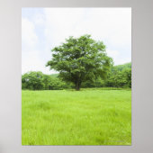 Blauwe hemel en grasveld poster (Voorkant)