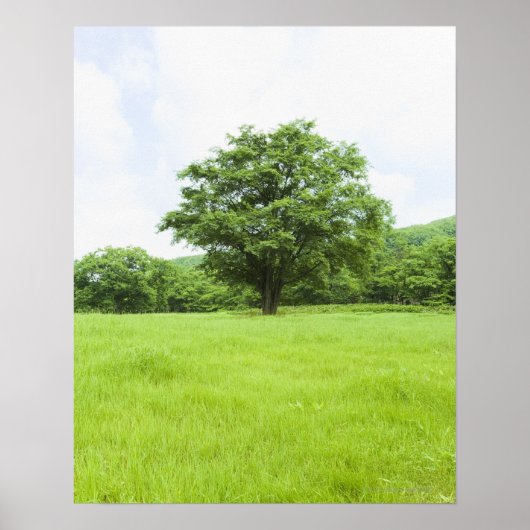 Blauwe hemel en grasveld poster (Voorkant)