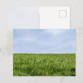 Blauwe hemel en groene gras briefkaart (Voorkant / Achterkant)