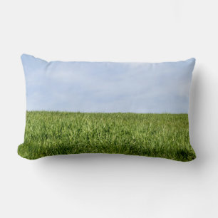 Blauwe hemel en groene gras kussen