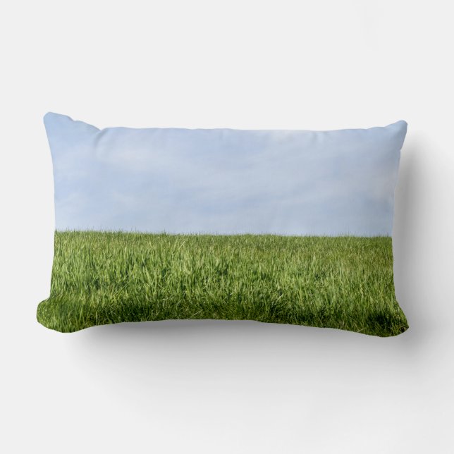Blauwe hemel en groene gras kussen (Voorkant)