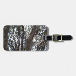 blauwe hemel en mos van eikenbomen bagagelabel