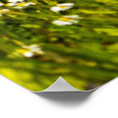 Blauwe hemel Gele mosterd wild Poster (Hoek)