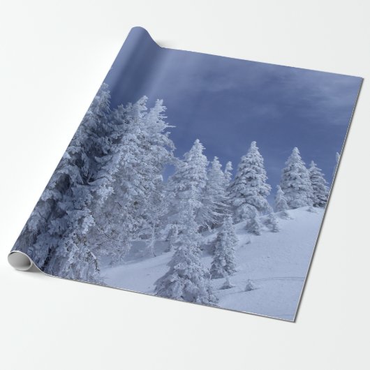 Blauwe hemel in de winter cadeaupapier (Uitgerold)