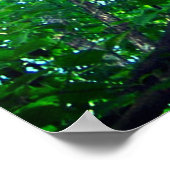 Blauwe hemel poster (Hoek)