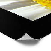 Blauwe hemel prints Witte Daisy Flower (Hoek)