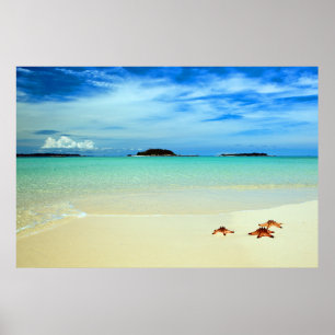 Blauwe hemel, wit zand en zeeduivel   Belitung Poster