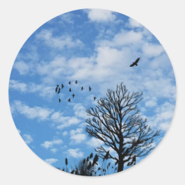 Blauwe Hemel Witte Wolken Adelaar Vogels Boom Gras Ronde Sticker