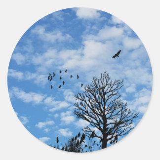 Blauwe Hemel Witte Wolken Adelaar Vogels Boom Gras Ronde Sticker