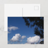 Blauwe hemelwitte wolken en boom op een postkaart (Voorkant / Achterkant)
