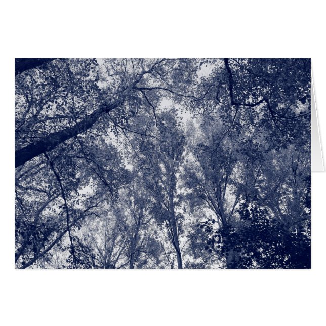 Blauwe herfst (Voorkant Horizontaal)