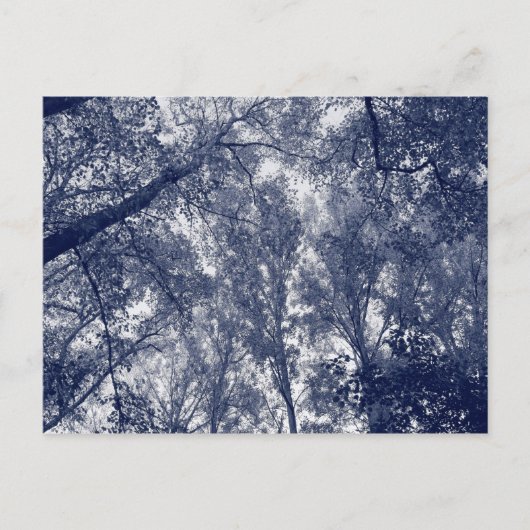 Blauwe herfst briefkaart (Voorkant)