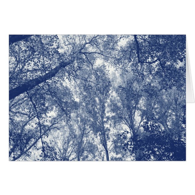 Blauwe herfst - Cyanotype-effect (Voorkant Horizontaal)