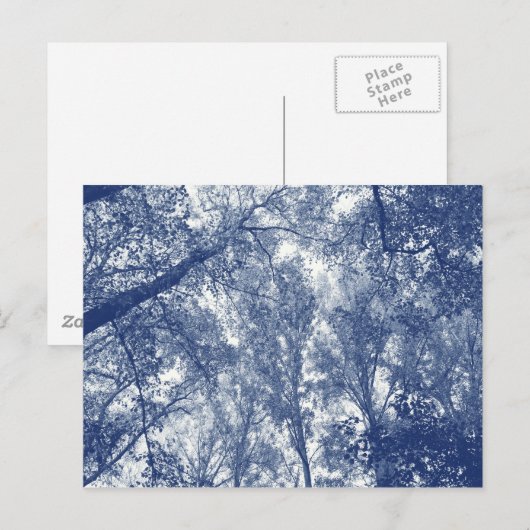 Blauwe herfst - Cyanotype-effect Briefkaart (Voorkant / Achterkant)