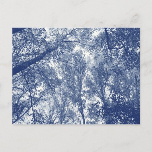 Blauwe herfst - Cyanotype-effect Briefkaart (Voorkant)